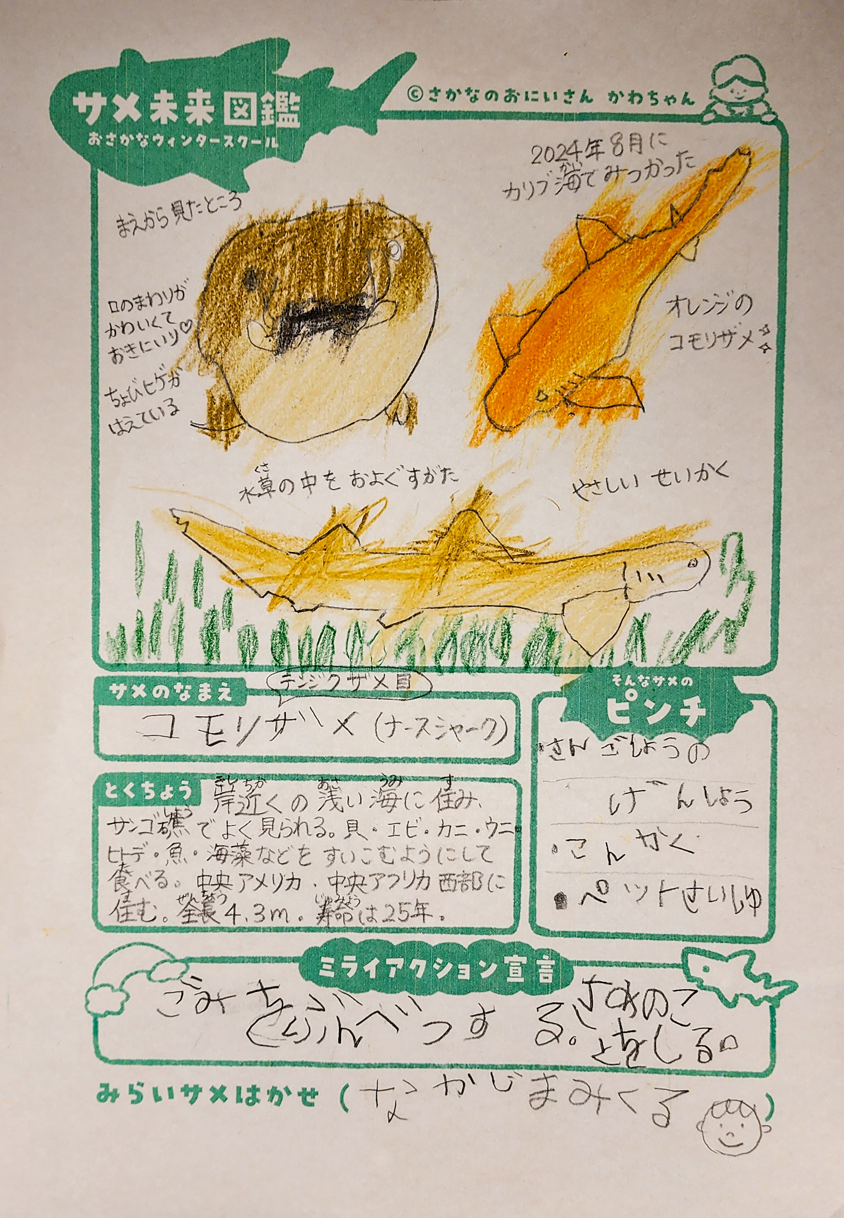 なかじまみくる